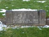 image of grave number 855876